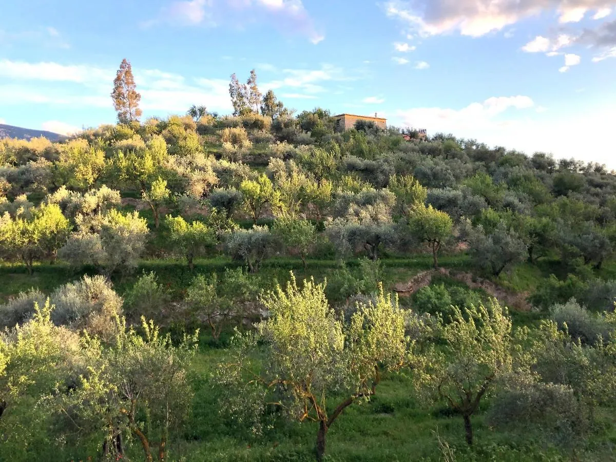 Holiday home Secano De Paco Orgiva